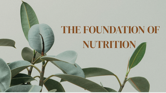 Understanding The Reason Why We Eat: The Foundation Of Nutrition