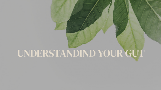 Understanding Your Gut: The Second Brain of Your Body