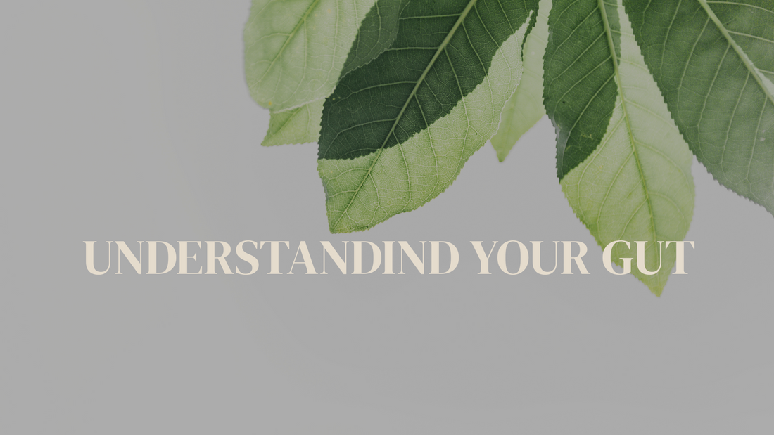 Understanding Your Gut: The Second Brain of Your Body